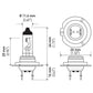 Hella Bulb H7 12V 70W PX26d T4.625